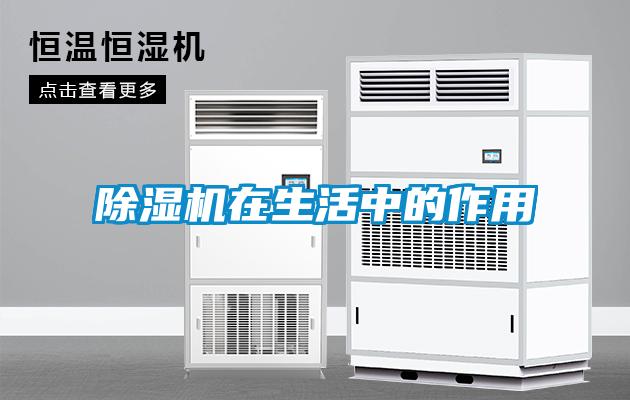 欧美黄色性爱视频网站 除湿机在生活中的作用