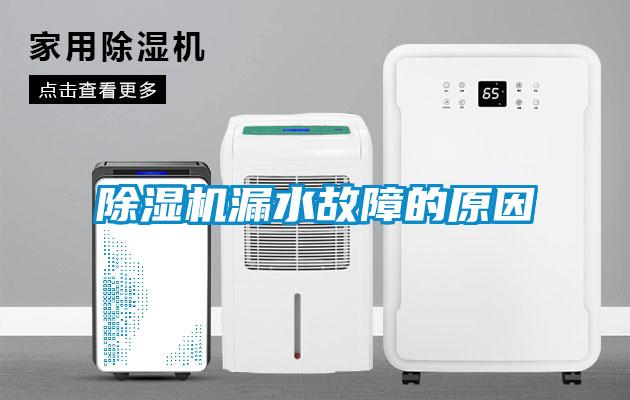 欧美成色手机在线观看 除湿机漏水故障的原因