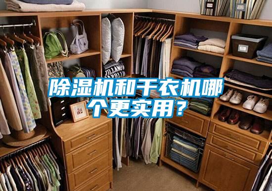 欧美成色手机在线观看 除湿机和干衣机哪个更实用？