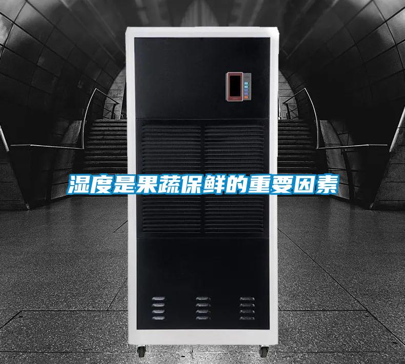 欧美黄色电影在线播放 湿度是果蔬保鲜的重要因素