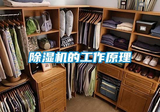 欧美成色手机在线观看 除湿机的工作原理