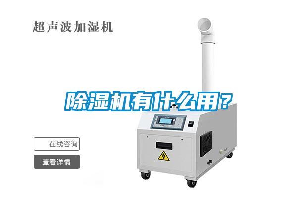 欧美成色手机在线观看 除湿机有什么用？