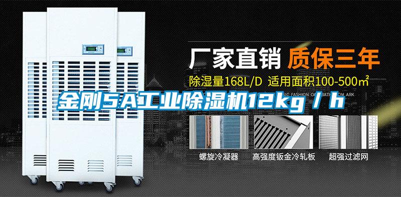 欧美成色手机在线观看 金刚5A工业除湿机12kg／h
