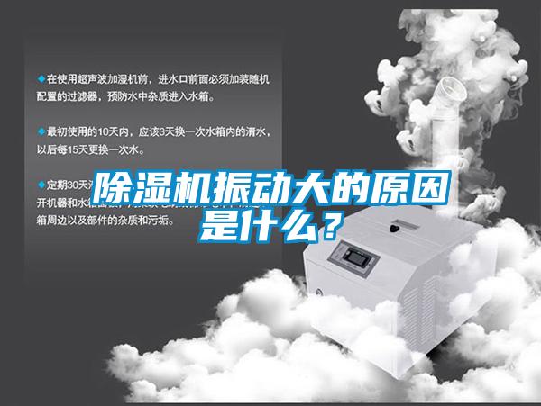 欧美黄色性爱视频网站 除湿机振动大的原因是什么？