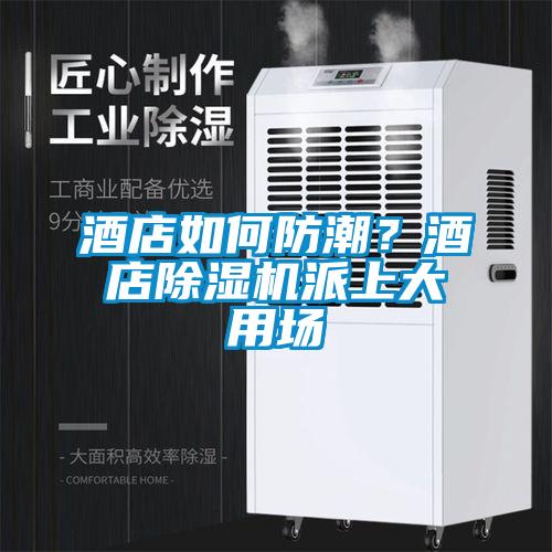 欧美黄色性爱视频网站 酒店如何防潮？酒店除湿机派上大用场