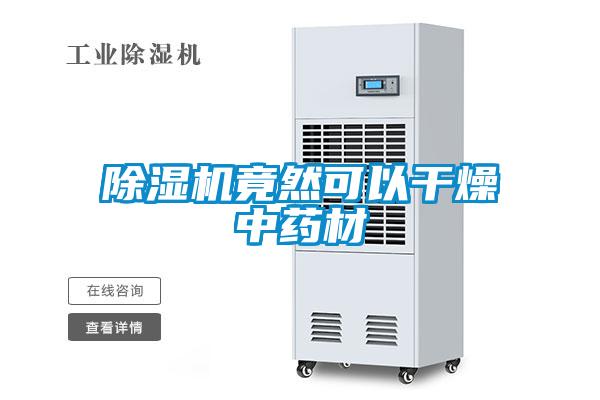 欧美黄色电影在线播放 除湿机竟然可以干燥中药材