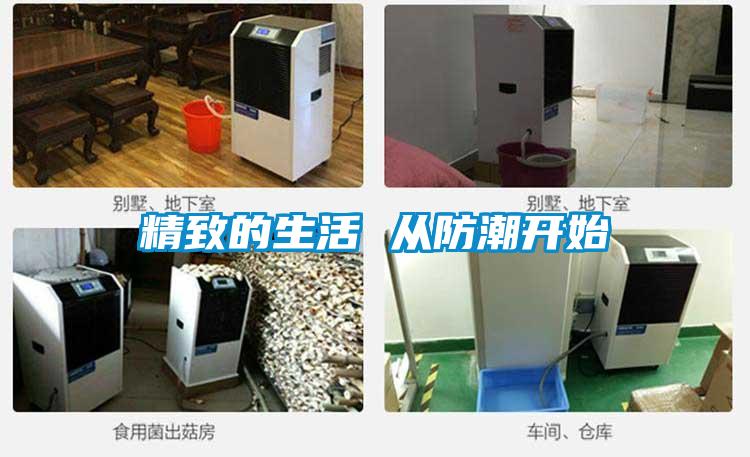 欧美黄色电影在线播放 精致的生活 从防潮开始
