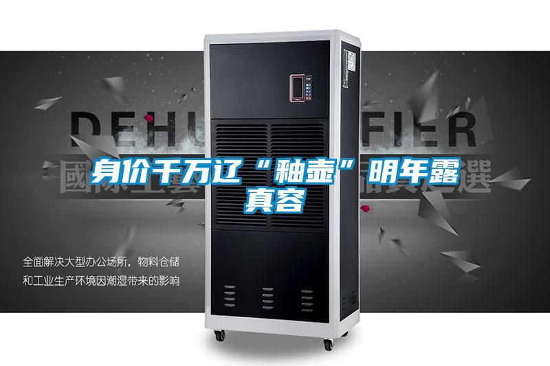 欧美黄色电影在线播放 身价千万辽“釉壶”明年露真容