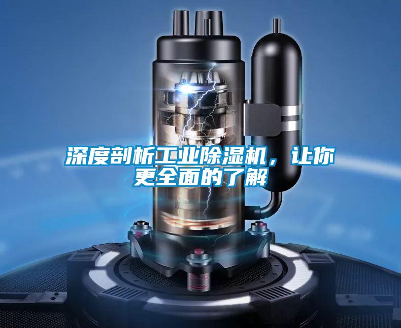 欧美成色手机在线观看 深度剖析工业除湿机，让你更全面的了解