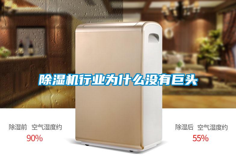 欧美成色手机在线观看 除湿机行业为什么没有巨头