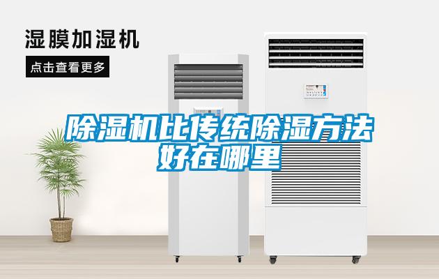 欧美黄色性爱视频网站 除湿机比传统除湿方法好在哪里