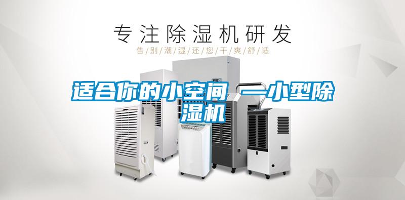 欧美黄色电影在线播放 适合你的小空间 —小型除湿机