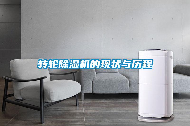 欧美成色手机在线观看 转轮除湿机的现状与历程