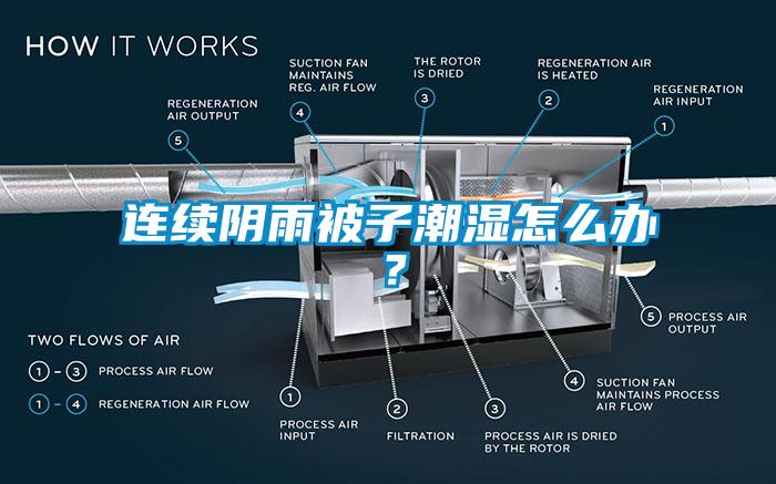 欧美黄色电影在线播放 连续阴雨被子潮湿怎么办？