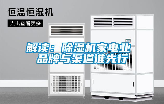 欧美黄色电影在线播放 解读：除湿机家电业 品牌与渠道谁先行