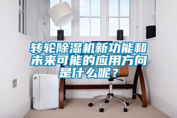 欧美黄色性爱视频网站 转轮除湿机新功能和未来可能的应用方向是什么呢？