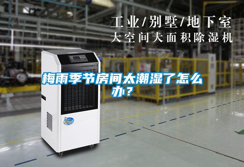 欧美黄色电影在线播放 梅雨季节房间太潮湿了怎么办？