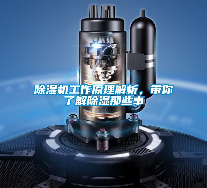 欧美黄色性爱视频网站 除湿机工作原理解析，带你了解除湿那些事
