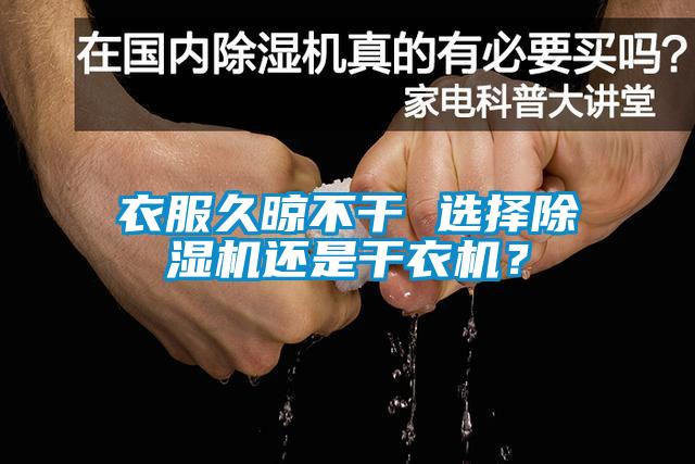 欧美成色手机在线观看 衣服久晾不干 选择除湿机还是干衣机？