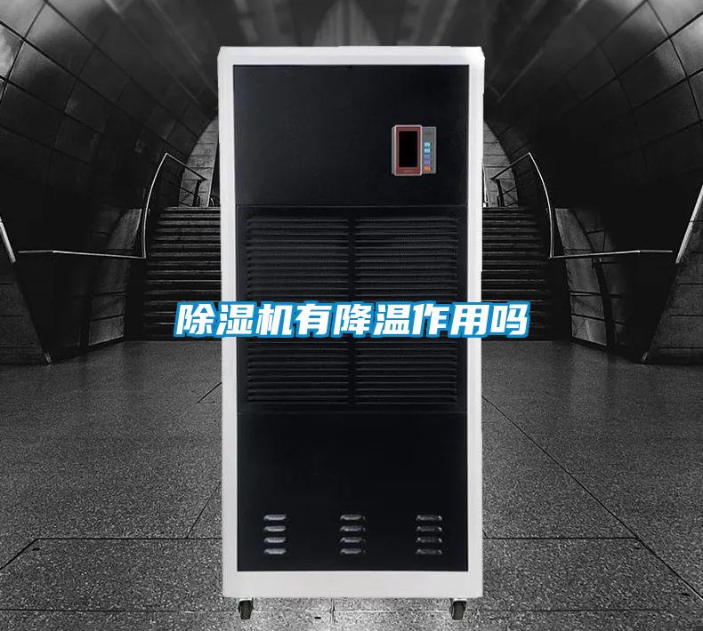 欧美黄色电影在线播放 除湿机有降温作用吗