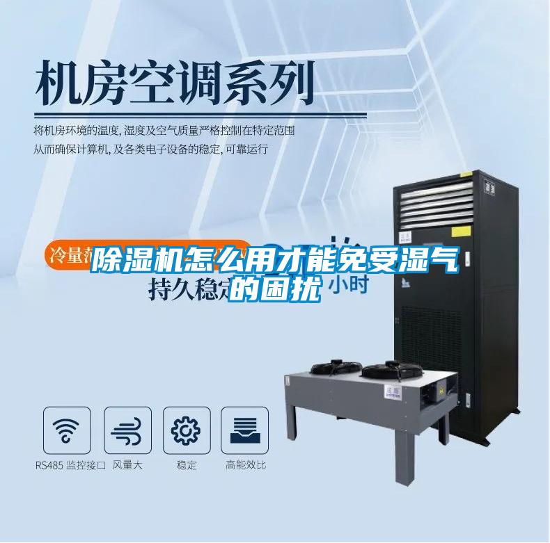 欧美成色手机在线观看 除湿机怎么用才能免受湿气的困扰