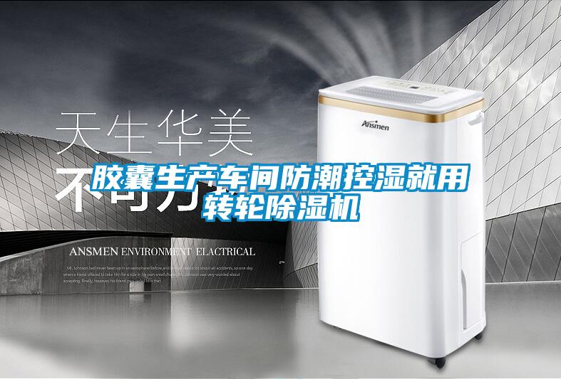 欧美黄色性爱视频网站 胶囊生产车间防潮控湿就用转轮除湿机