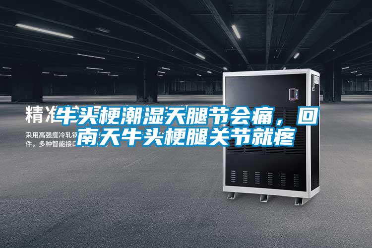 欧美成色手机在线观看 牛头梗潮湿天腿节会痛，回南天牛头梗腿关节就疼