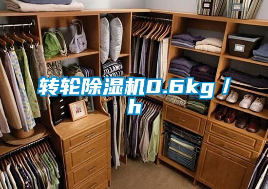 欧美成色手机在线观看 转轮除湿机0.6kg／h