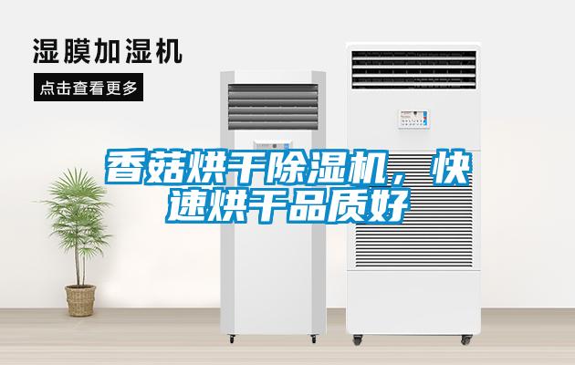 欧美成色手机在线观看 香菇烘干除湿机，快速烘干品质好