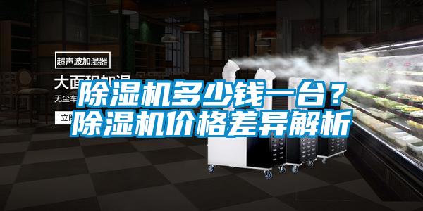 欧美成色手机在线观看 除湿机多少钱一台？除湿机价格差异解析