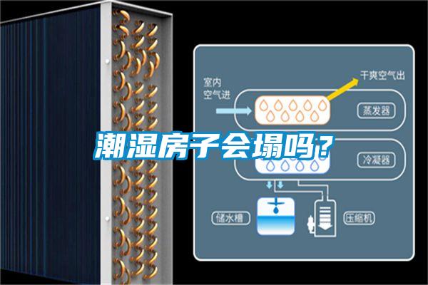 欧美成色手机在线观看 潮湿房子会塌吗？