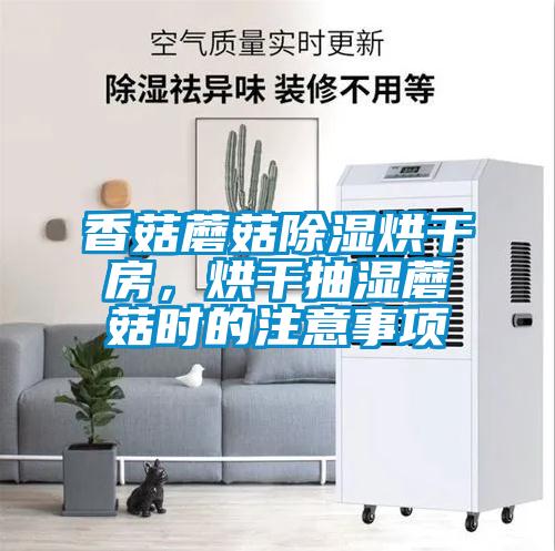 欧美成色手机在线观看 香菇蘑菇除湿烘干房，烘干抽湿蘑菇时的注意事项