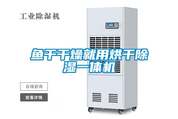 欧美黄色电影在线播放 鱼干干燥就用烘干除湿一体机