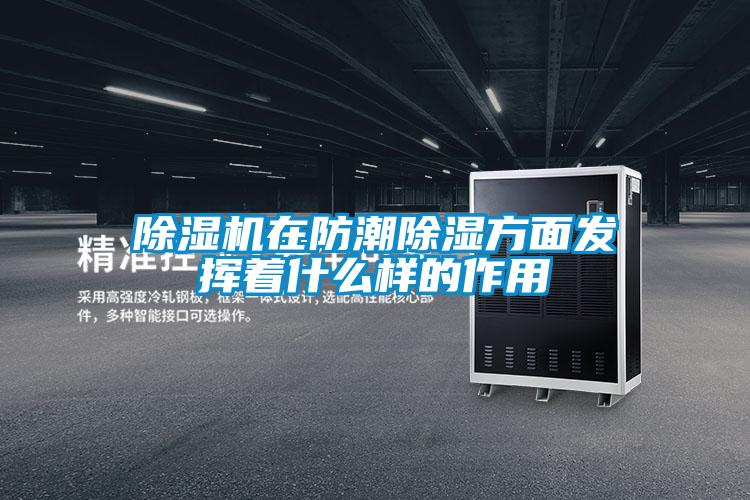 欧美黄色性爱视频网站 除湿机在防潮除湿方面发挥着什么样的作用