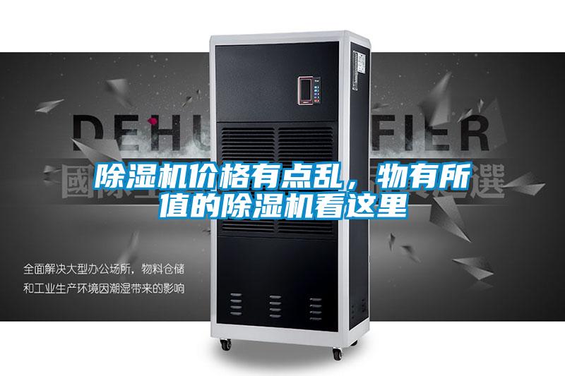 欧美黄色电影在线播放 除湿机价格有点乱，物有所值的除湿机看这里