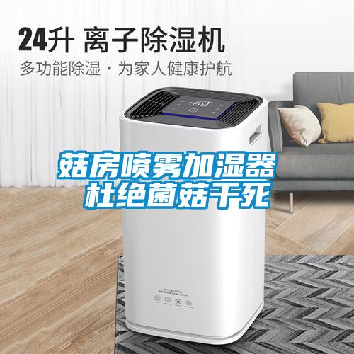 欧美黄色性爱视频网站 菇房喷雾加湿器 杜绝菌菇干死