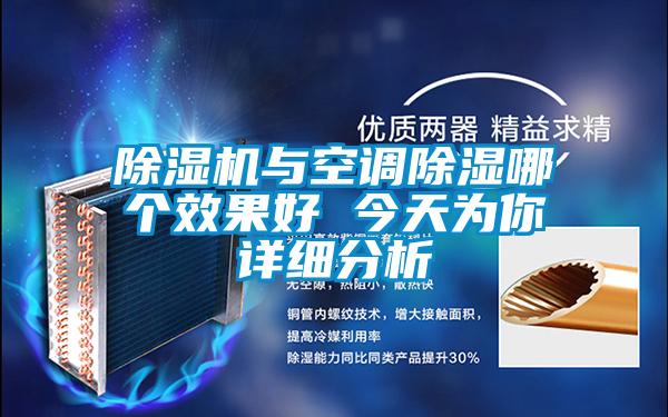欧美黄色性爱视频网站 除湿机与空调除湿哪个效果好 今天为你详细分析