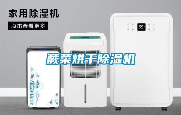 欧美黄色性爱视频网站 蕨菜烘干除湿机