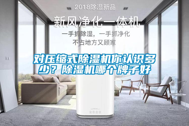 欧美黄色性爱视频网站 对压缩式除湿机你认识多少？除湿机哪个牌子好