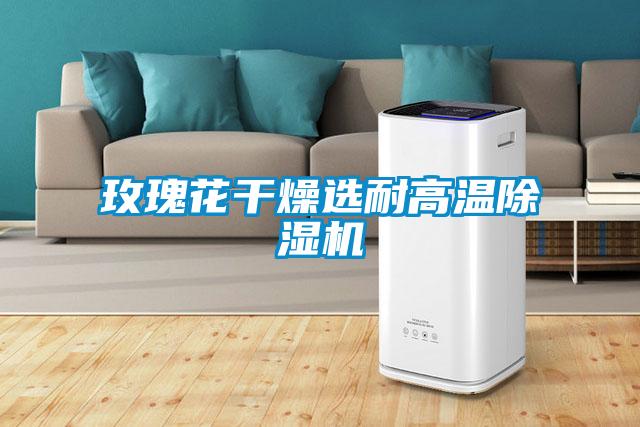 欧美黄色电影在线播放 玫瑰花干燥选耐高温除湿机