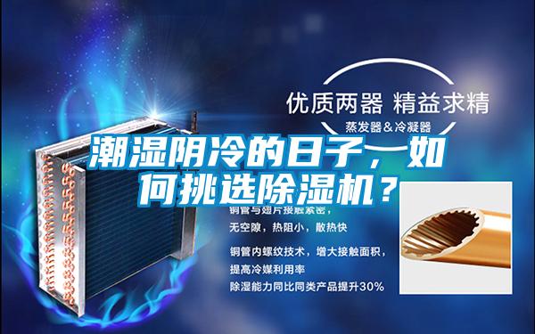 欧美成色手机在线观看 潮湿阴冷的日子，如何挑选除湿机？