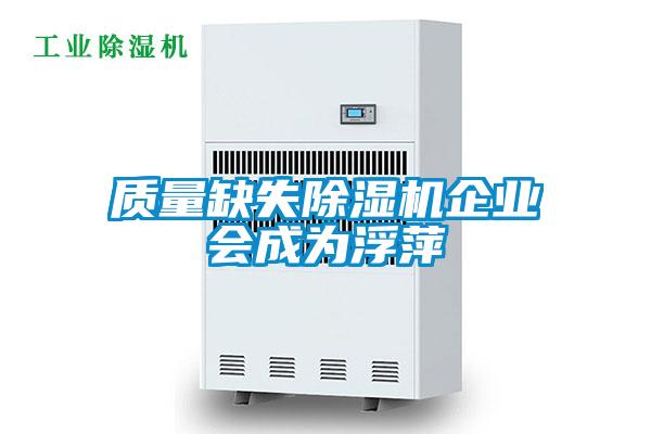 欧美黄色电影在线播放 质量缺失除湿机企业会成为浮萍
