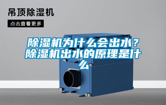 欧美黄色性爱视频网站 除湿机为什么会出水？除湿机出水的原理是什么