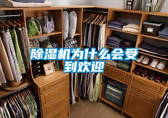 欧美黄色电影在线播放 除湿机为什么会受到欢迎