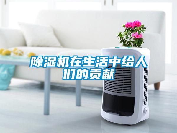 欧美成色手机在线观看 除湿机在生活中给人们的贡献