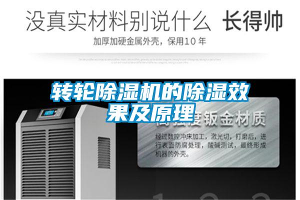 欧美黄色性爱视频网站 转轮除湿机的除湿效果及原理