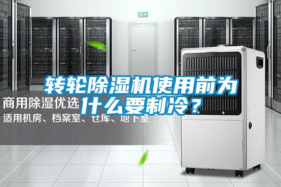 欧美黄色性爱视频网站 转轮除湿机使用前为什么要制冷？