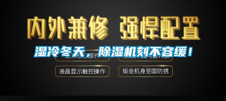 欧美黄色性爱视频网站 湿冷冬天，除湿机刻不容缓！