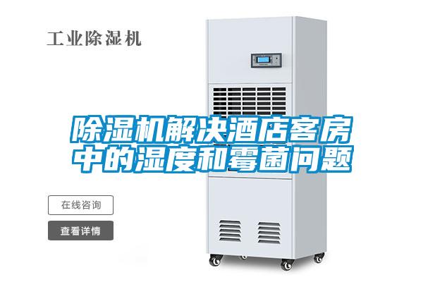 欧美黄色电影在线播放 除湿机解决酒店客房中的湿度和霉菌问题