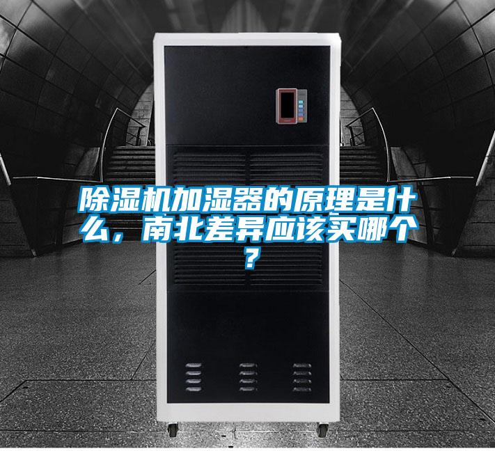 欧美黄色性爱视频网站 除湿机加湿器的原理是什么，南北差异应该买哪个？